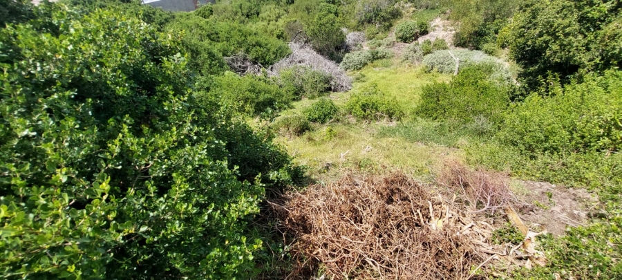 Commercial Property for Sale in Paradise Beach Eastern Cape